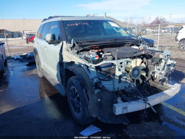 2024 TOYOTA SEQUOIA 7SVAAABA5RX033745