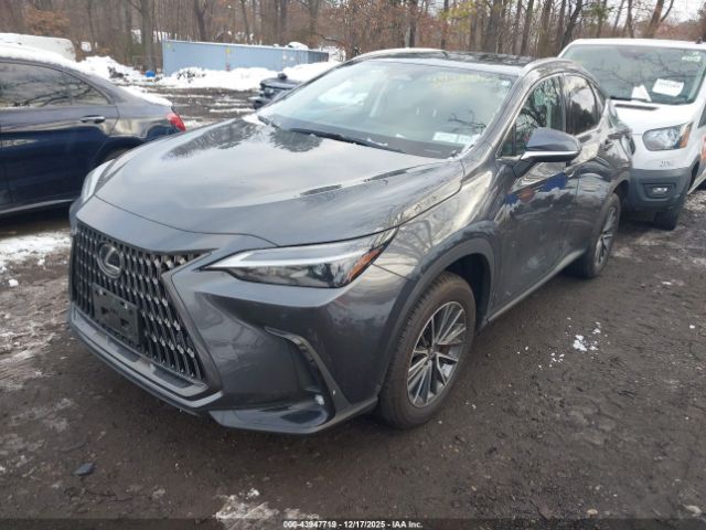 2024 LEXUS NX 350H JTJGKCEZ0R5010297 Photo 1