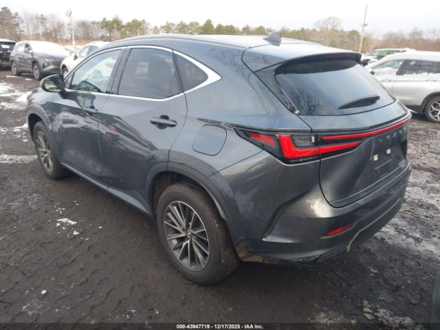 2024 LEXUS NX 350H JTJGKCEZ0R5010297 Photo 2