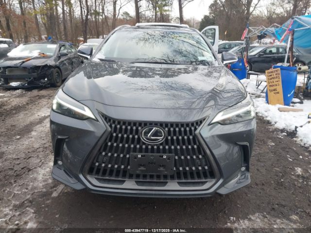 2024 LEXUS NX 350H JTJGKCEZ0R5010297 Photo 5