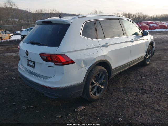 Auction sale of the 2024 Volkswagen Tiguan 2.0t Se/2.0t Wolfsburg Edition, vin: 3VVMB7AX9RM037964, lot number: 43947731