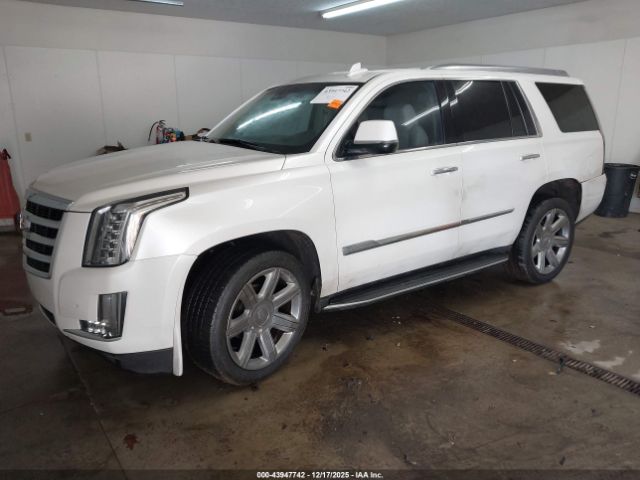 2016 CADILLAC ESCALADE 1GYS4BKJ8GR339460 Photo 1