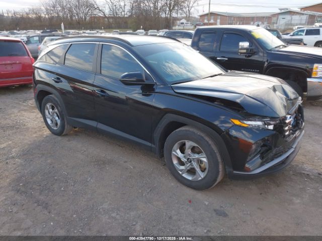 2023 HYUNDAI TUCSON 5NMJB3AE8PH269433