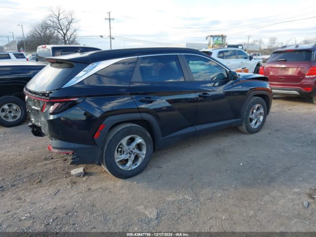 2023 HYUNDAI TUCSON 5NMJB3AE8PH269433 Photo 3