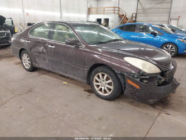 2003 LEXUS ES 300 JTHBF30G330132176