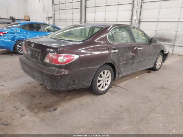 2003 LEXUS ES 300 JTHBF30G330132176 Photo 3