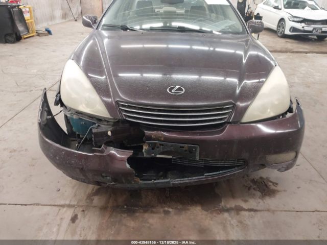 2003 LEXUS ES 300 JTHBF30G330132176 Photo 5
