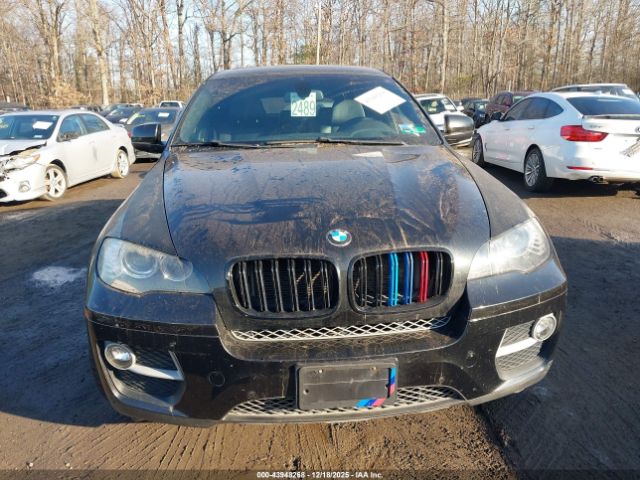 2013 BMW X6 5UXFG2C59DL786523 Photo 5