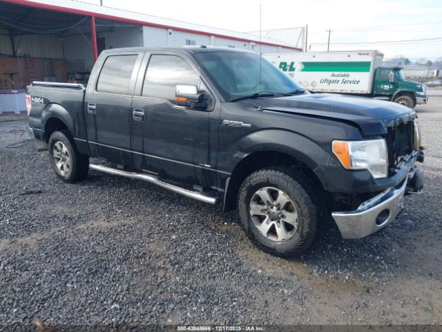 2014 FORD F-150 1FTFW1EF3EKG54448