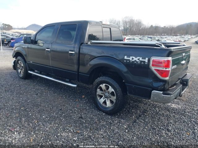 2014 FORD F-150 1FTFW1EF3EKG54448 Photo 2