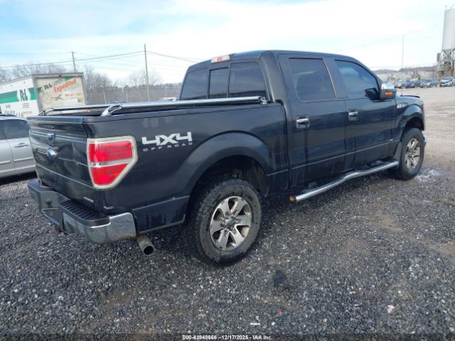 2014 FORD F-150 1FTFW1EF3EKG54448 Photo 3