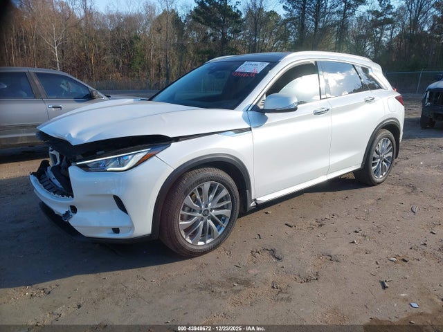 2025 INFINITI QX50 3PCAJ5BBXSF108210 Photo 1