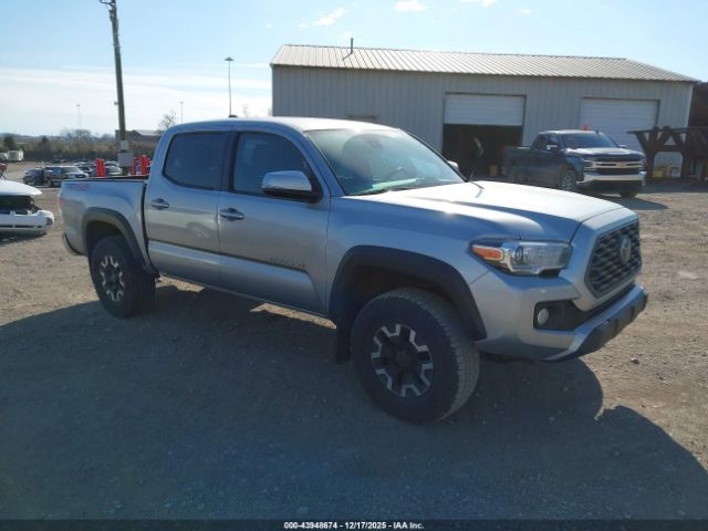2022 TOYOTA TACOMA 3TMCZ5AN2NM490231