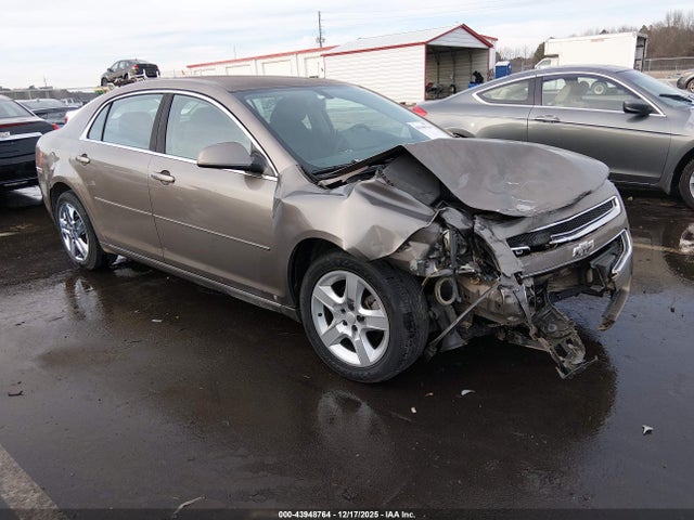 2010 CHEVROLET MALIBU 1G1ZC5E03AF116997