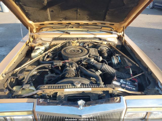 1985 CHRYSLER FIFTH AVENUE 1C3BF66P4FX669004 Photo 9