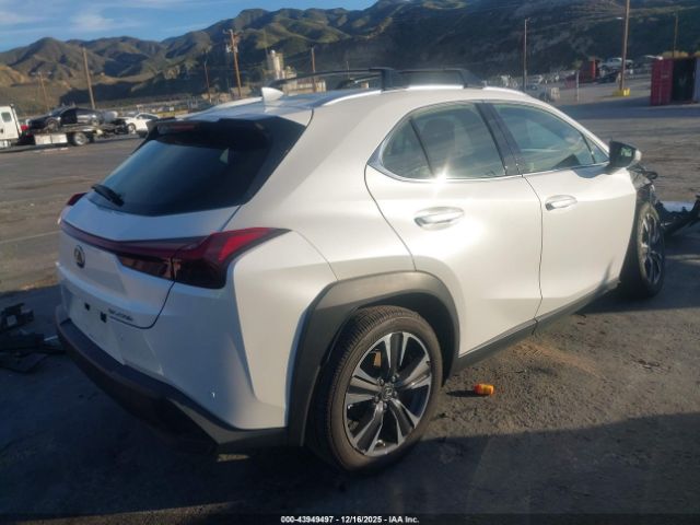 2024 LEXUS UX 250H JTHX6JBH0R2190243 Photo 3
