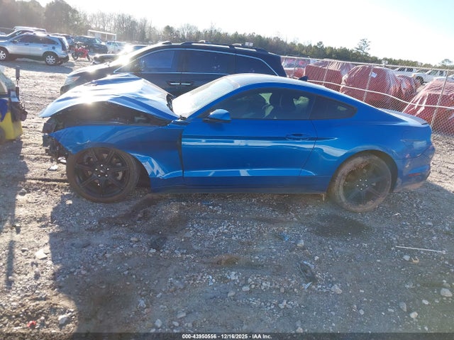 Ford Mustang Ecoboost Fastback 2020 1FA6P8THXL5161622 Image 14