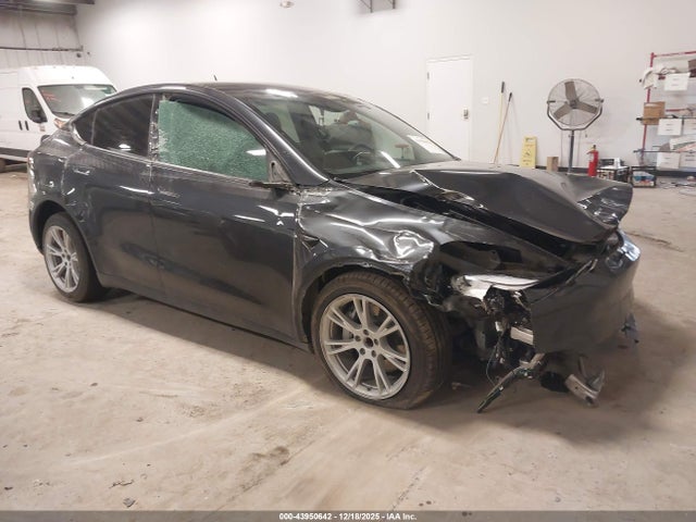 2024 TESLA MODEL Y 7SAYGDED3RF054296 Photo 0