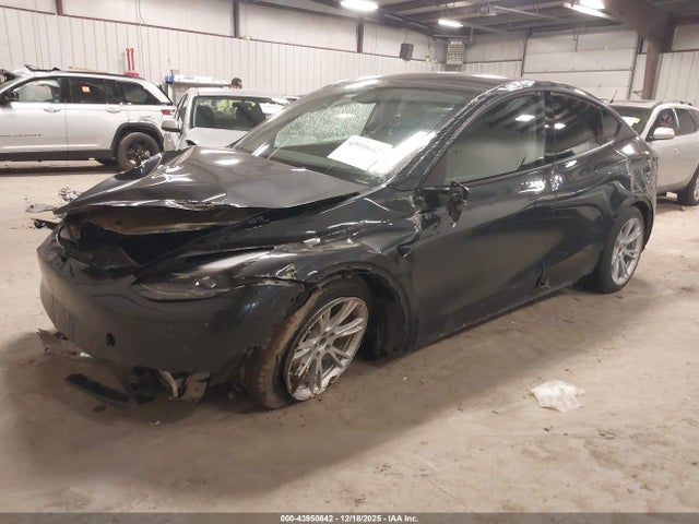 2024 TESLA MODEL Y 7SAYGDED3RF054296 Photo 1