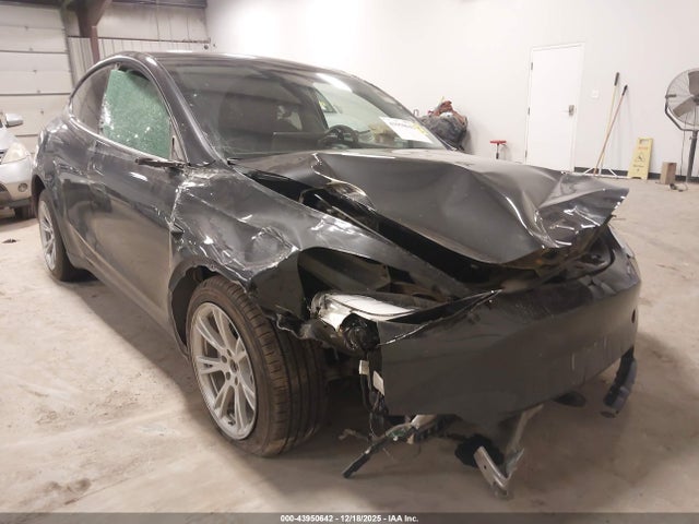 2024 TESLA MODEL Y 7SAYGDED3RF054296 Photo 5