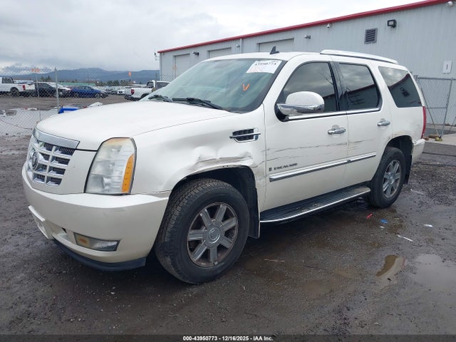 Продажа на аукционе авто 2007 Cadillac Escalade Standard, vin: 1GYFK63817R302082, номер лота: 43950773