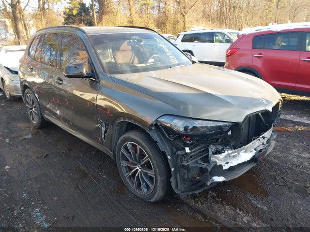 2025 BMW X5 5UX33EU06S9X41990