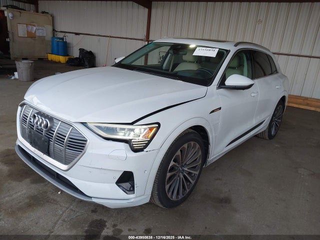 2019 AUDI E-TRON WA1VABGE6KB024157 Photo 1