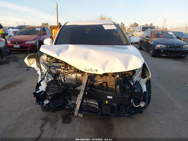 KNDPU3DG4T7285177 KIA Sportage Hybrid Lx