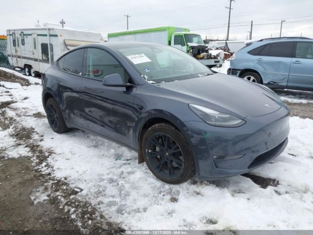 2023 TESLA MODEL Y 7SAYGDEEXPF834415