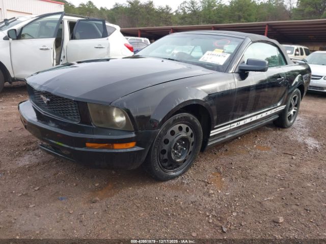 2005 FORD MUSTANG 1ZVHT84N655256858 Photo 1