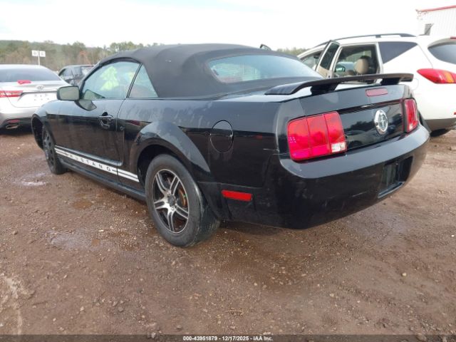 2005 FORD MUSTANG 1ZVHT84N655256858 Photo 2