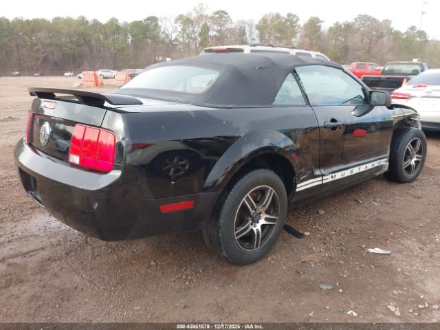 2005 FORD MUSTANG 1ZVHT84N655256858 Photo 3