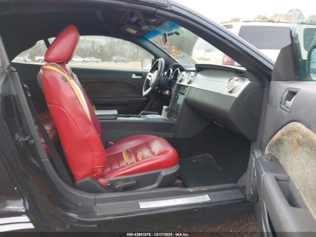 2005 FORD MUSTANG 1ZVHT84N655256858 Photo 4