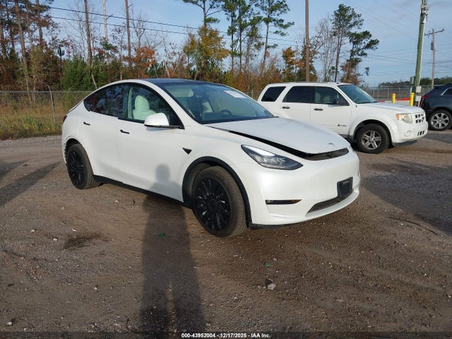 2021 TESLA MODEL Y 5YJYGDEE0MF249691 Photo 0