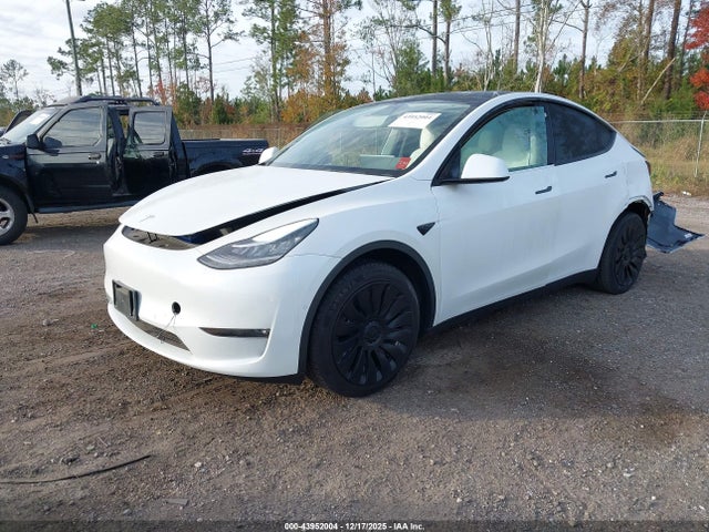 2021 TESLA MODEL Y 5YJYGDEE0MF249691 Photo 1