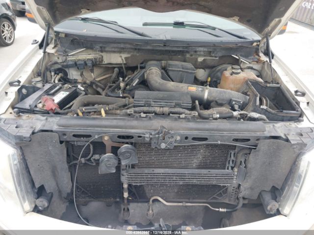 2009 FORD F-150 1FTPW14V99FB00570 Photo 9