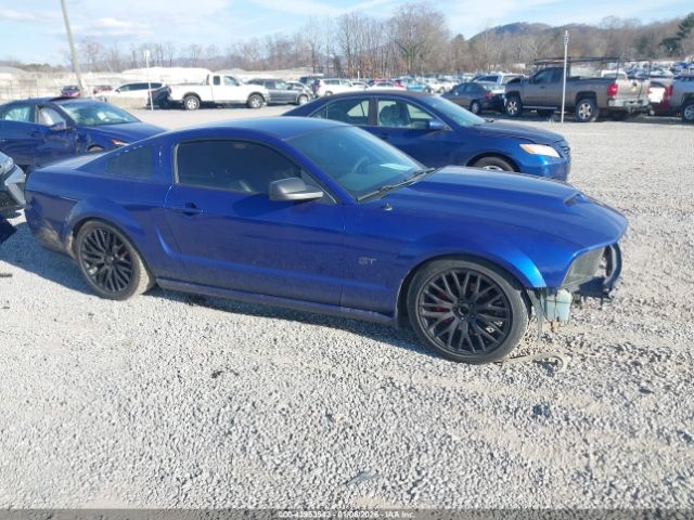 2005 FORD MUSTANG 1ZVFT82H955123306
