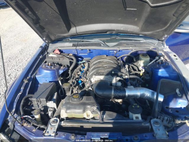 2005 FORD MUSTANG 1ZVFT82H955123306 Photo 9