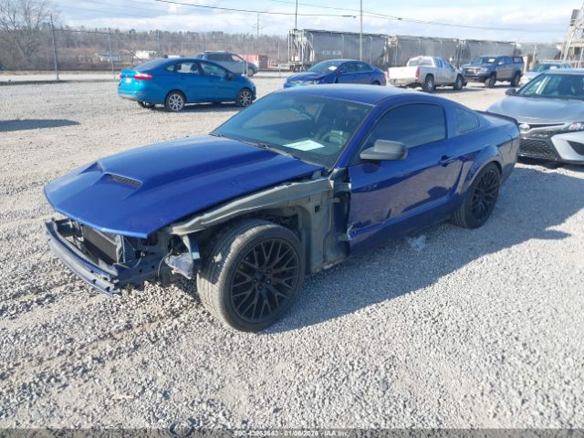 2005 FORD MUSTANG 1ZVFT82H955123306 Photo 1