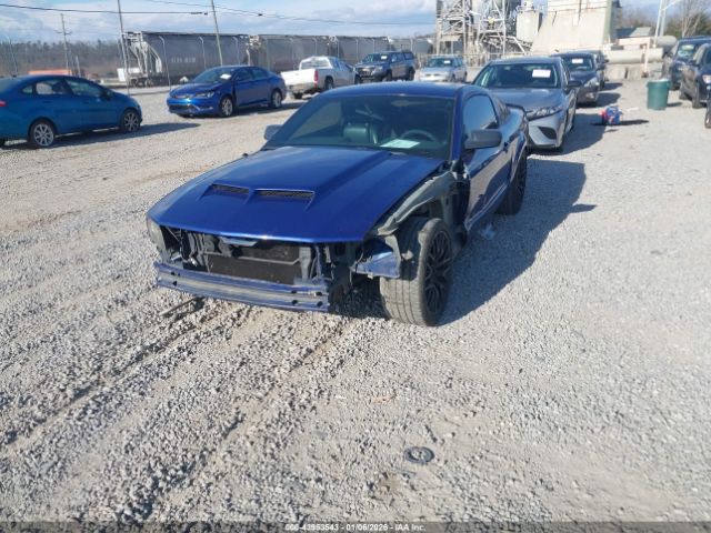 2005 FORD MUSTANG 1ZVFT82H955123306 Photo 5