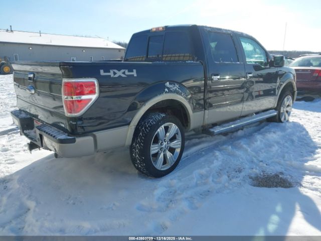 2010 FORD F-150 1FTFW1EV5AFC44504 Photo 3