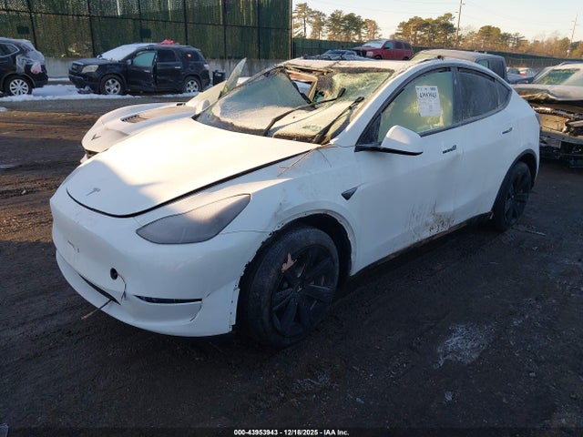 2024 TESLA MODEL Y 7SAYGDED8RF089268 Photo 1