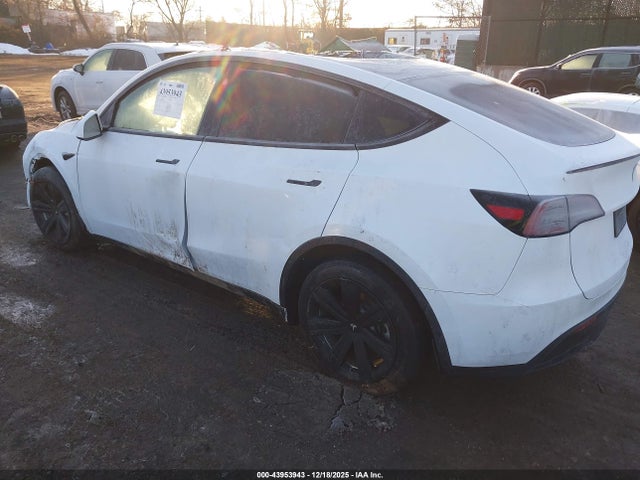 2024 TESLA MODEL Y 7SAYGDED8RF089268 Photo 2