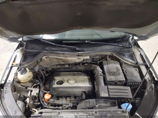 2011 VOLKSWAGEN TIGUAN WVGAV7AX7BW530813 Photo 9