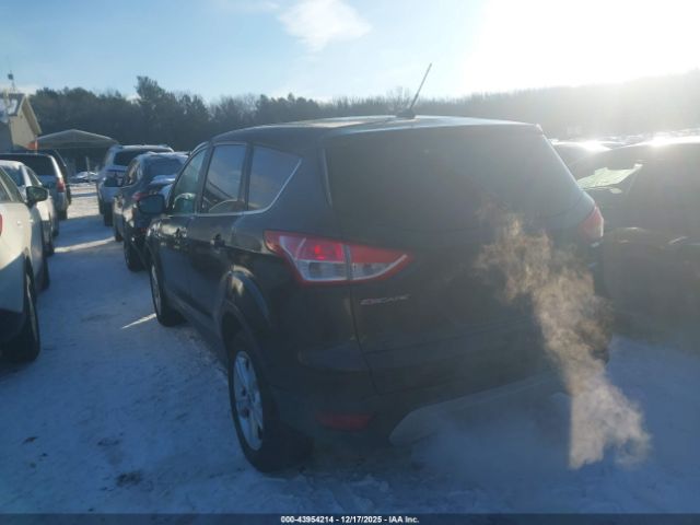 2015 FORD ESCAPE 1FMCU9GX4FUA90243 Photo 2