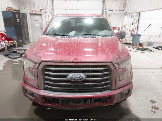 1FTEW1EPXFKD40124 Ford F-150 Xlt