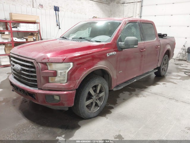 1FTEW1EPXFKD40124 Ford F-150 Xlt