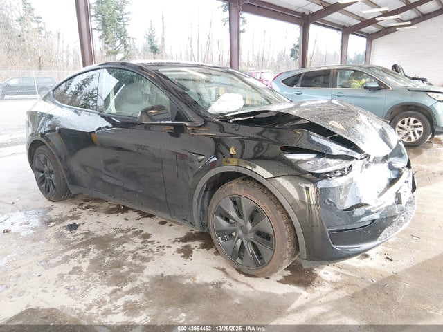 2025 TESLA MODEL Y 7SAYGAEE4SF249885 Photo 0