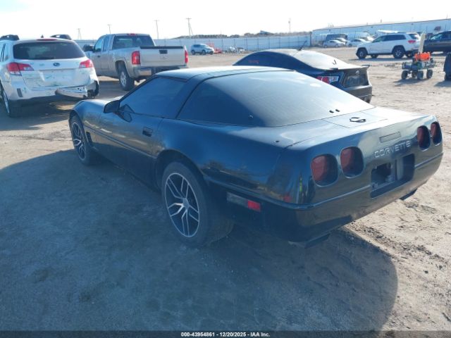 1996 CHEVROLET CORVETTE 1G1YY22P1T5107544 Photo 2