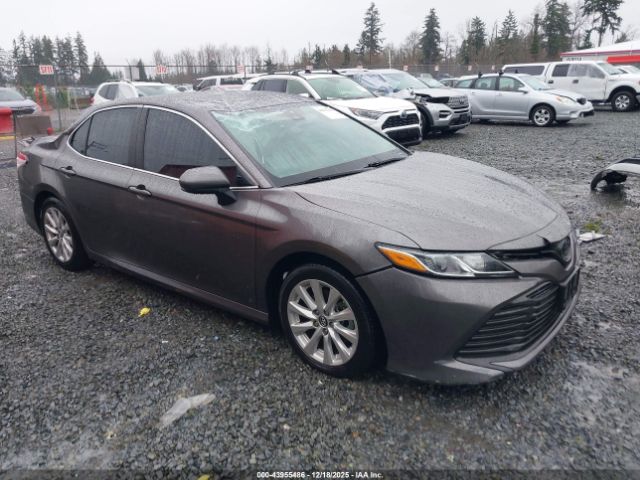 2019 TOYOTA CAMRY 4T1B11HK6KU237780